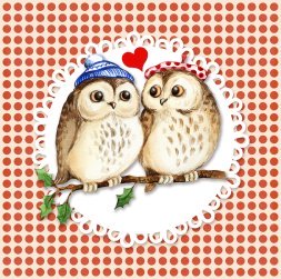 owls in love