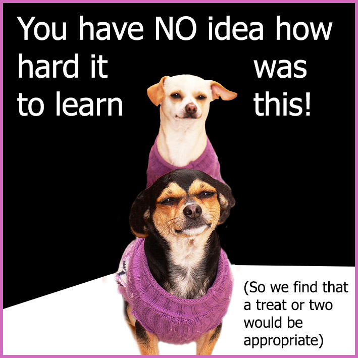 funny dog quote about tricks and treats