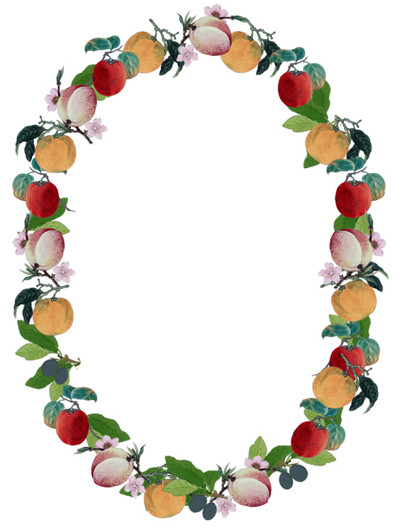 picture frame from fruit drawings