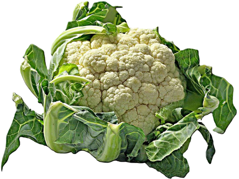 cauliflower cut-out clipart