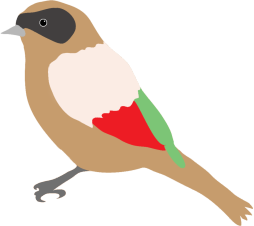 dompaplike bird with colors