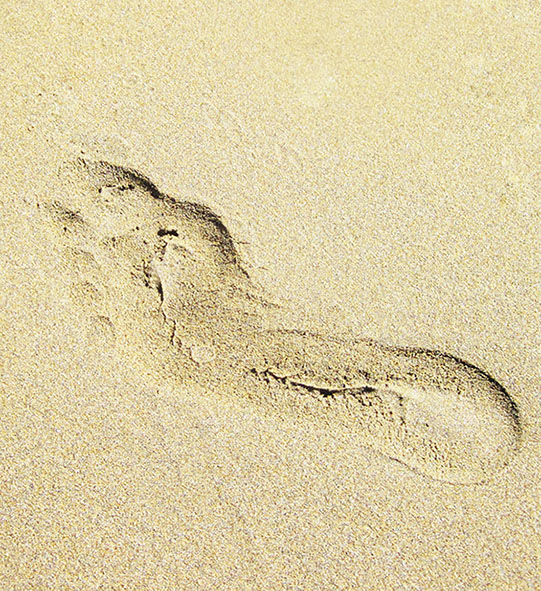 footprint on sand summer beach