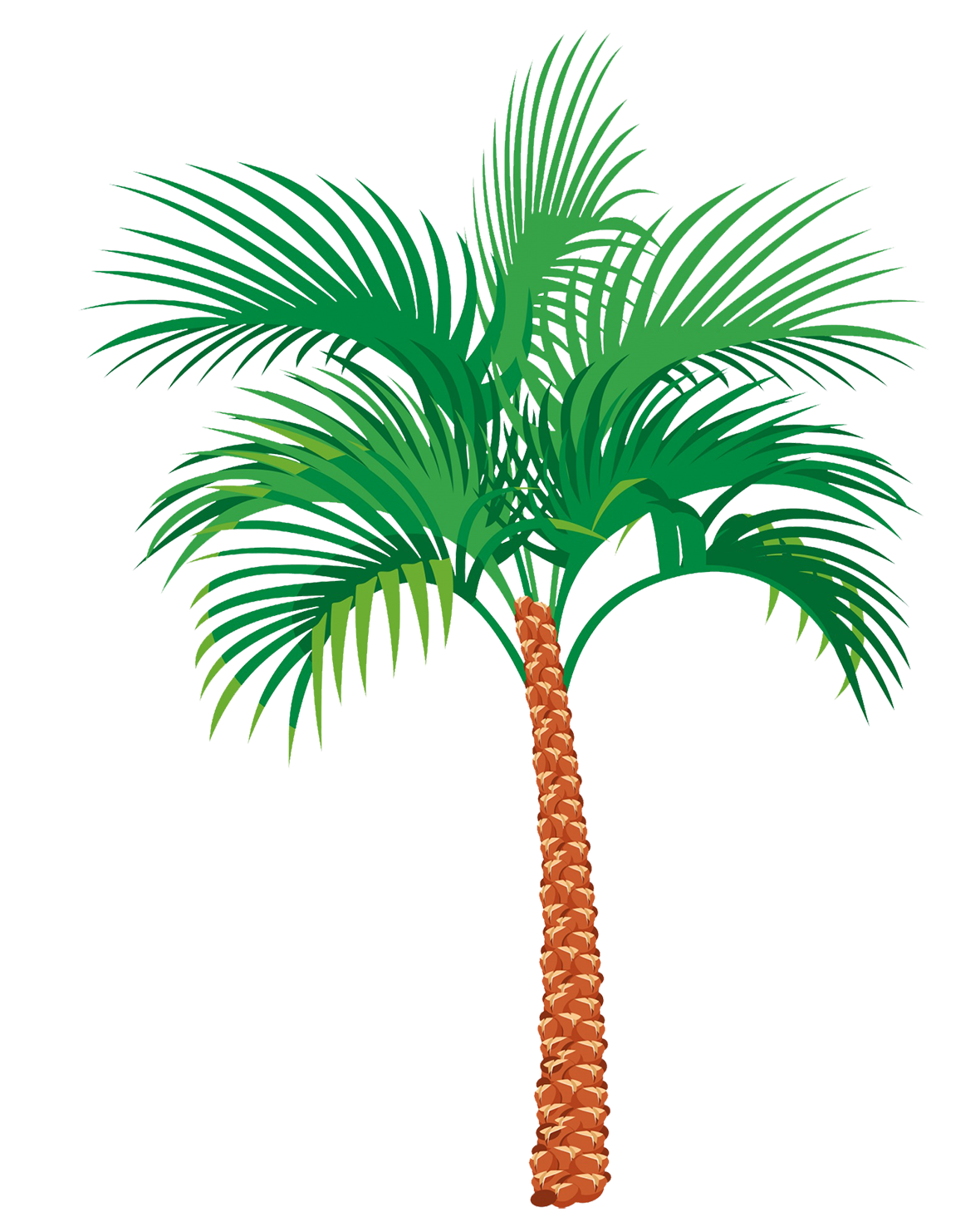 palm tree illustration