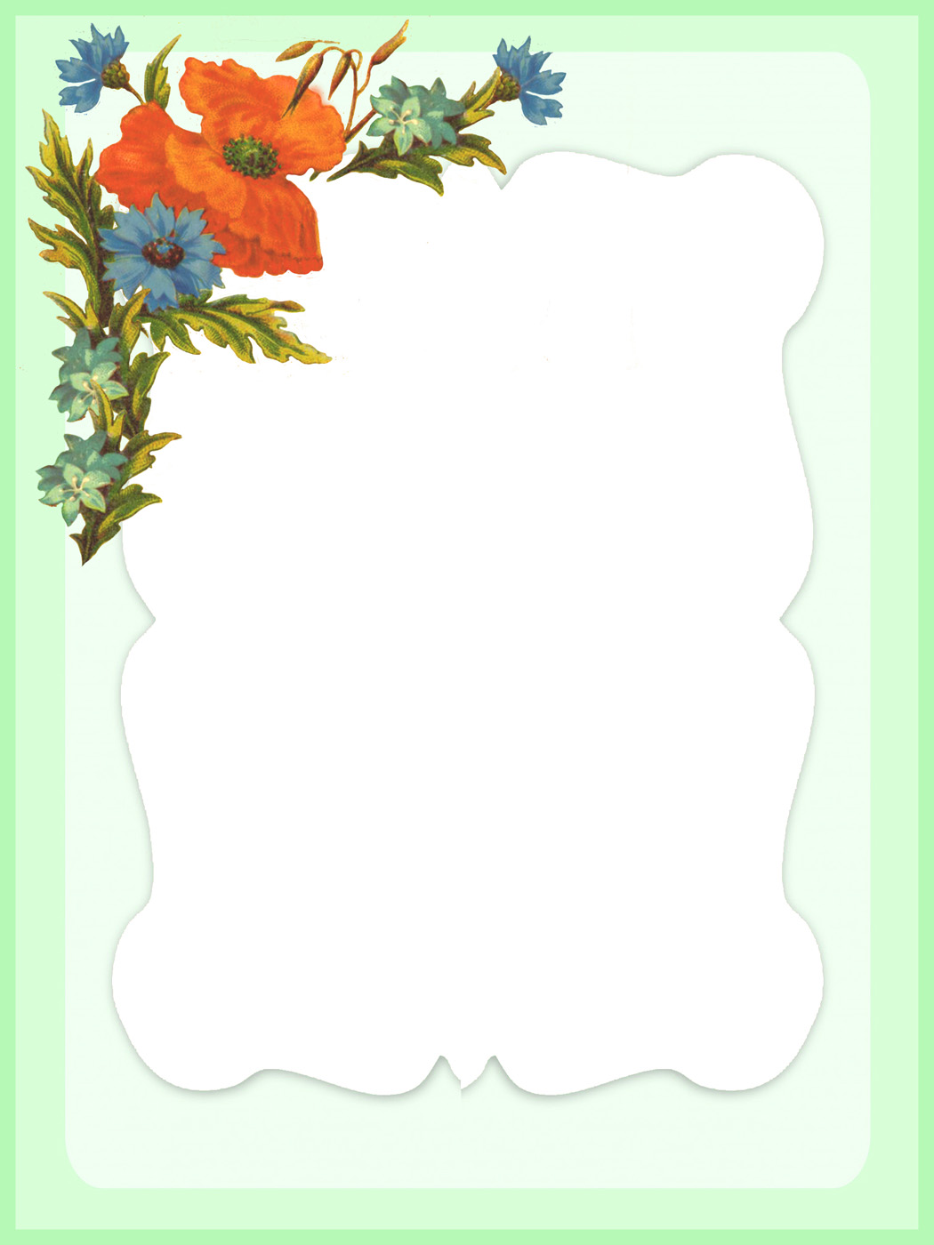 green frame with poppies and cornflower