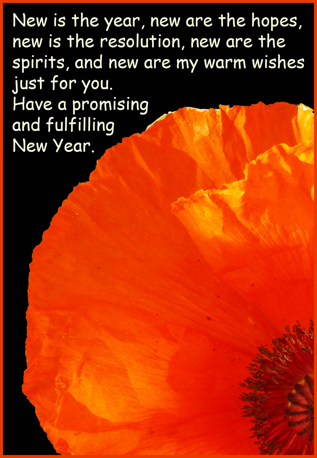New Year card with red poppy
