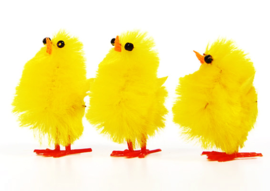 three yellow Easter chickens