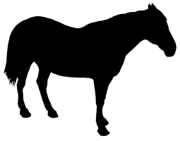horse standing silhouette