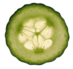 cucumber slice clipart