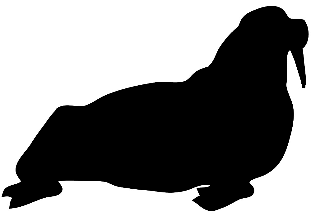 walrus silhouette in black