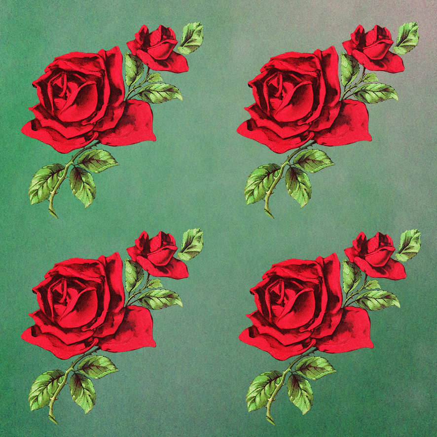 background with red roses