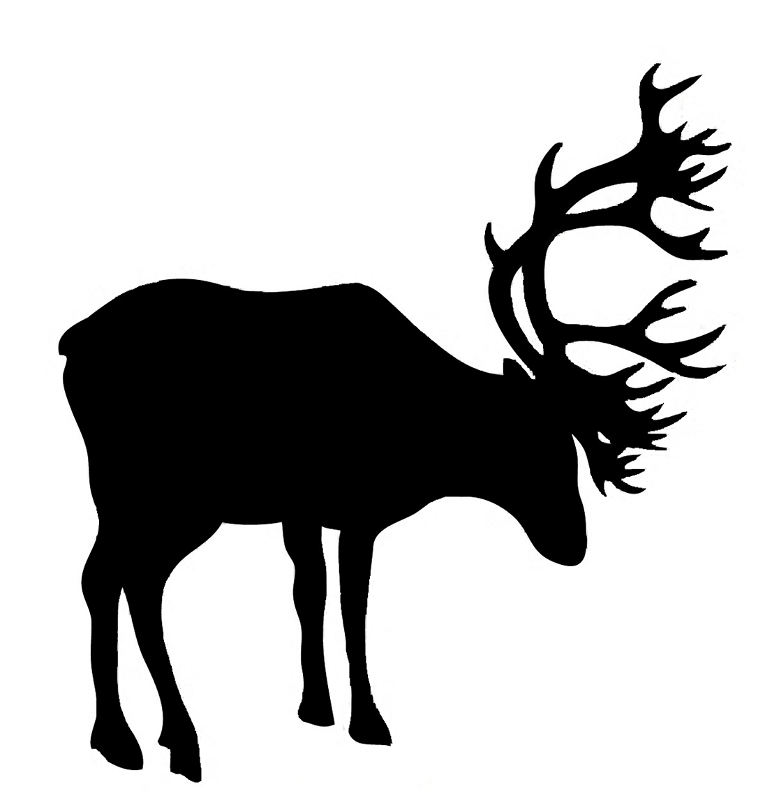 silhouette of red deer stag