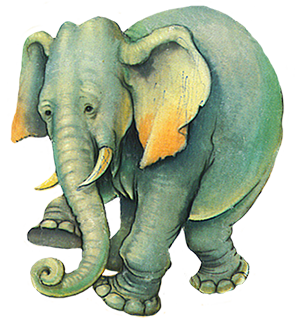 tumbling elephant