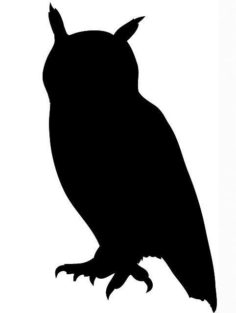 Owl silhouette black