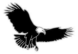 outlined bird silhouette bald eagle flying