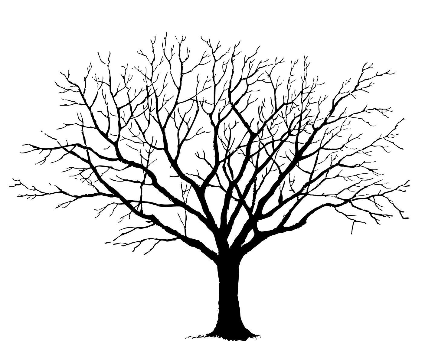 black tree silhouette