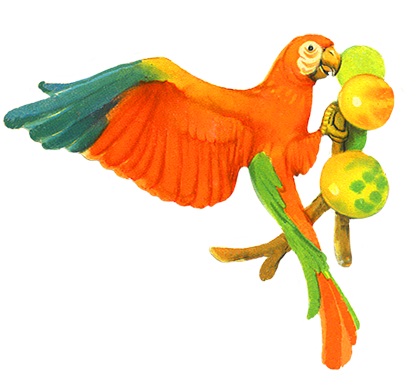 Parrot eating fruits clip art