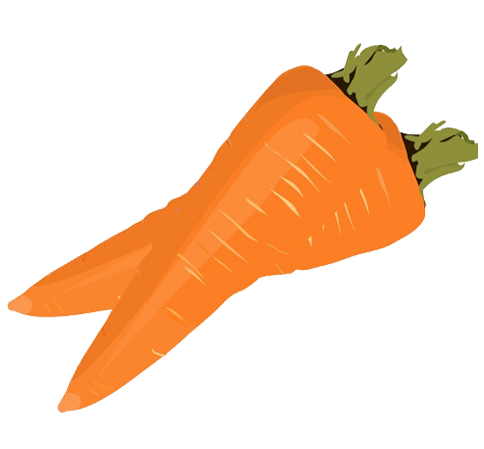 two carrots clipart