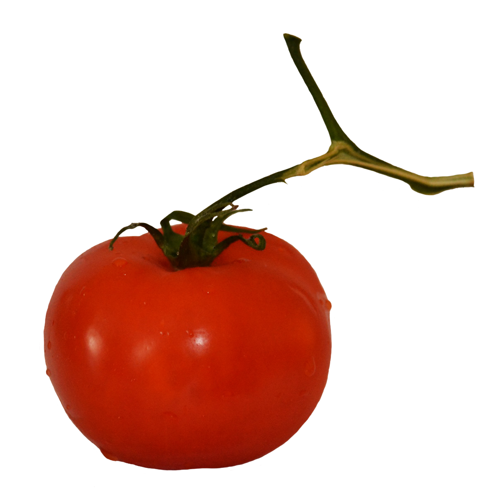 Tomato on stem