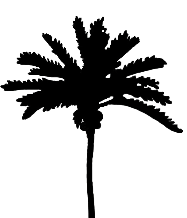 palm tree silhouette