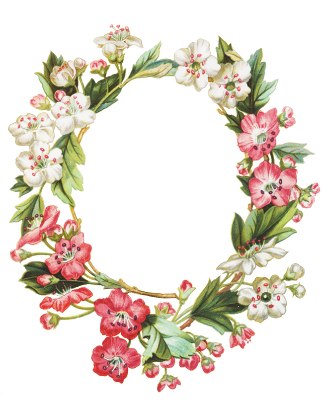 apple flower frame 