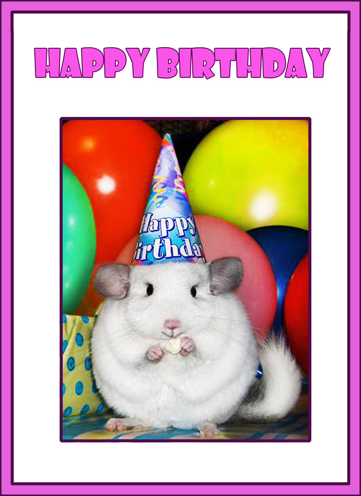 first birthday card chinchilla