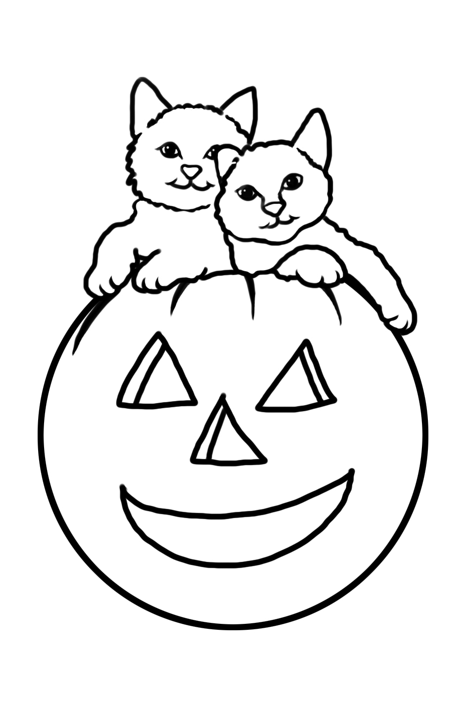 Halloween cats in pumpkin to color