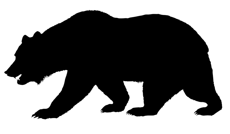 silhouette of bear