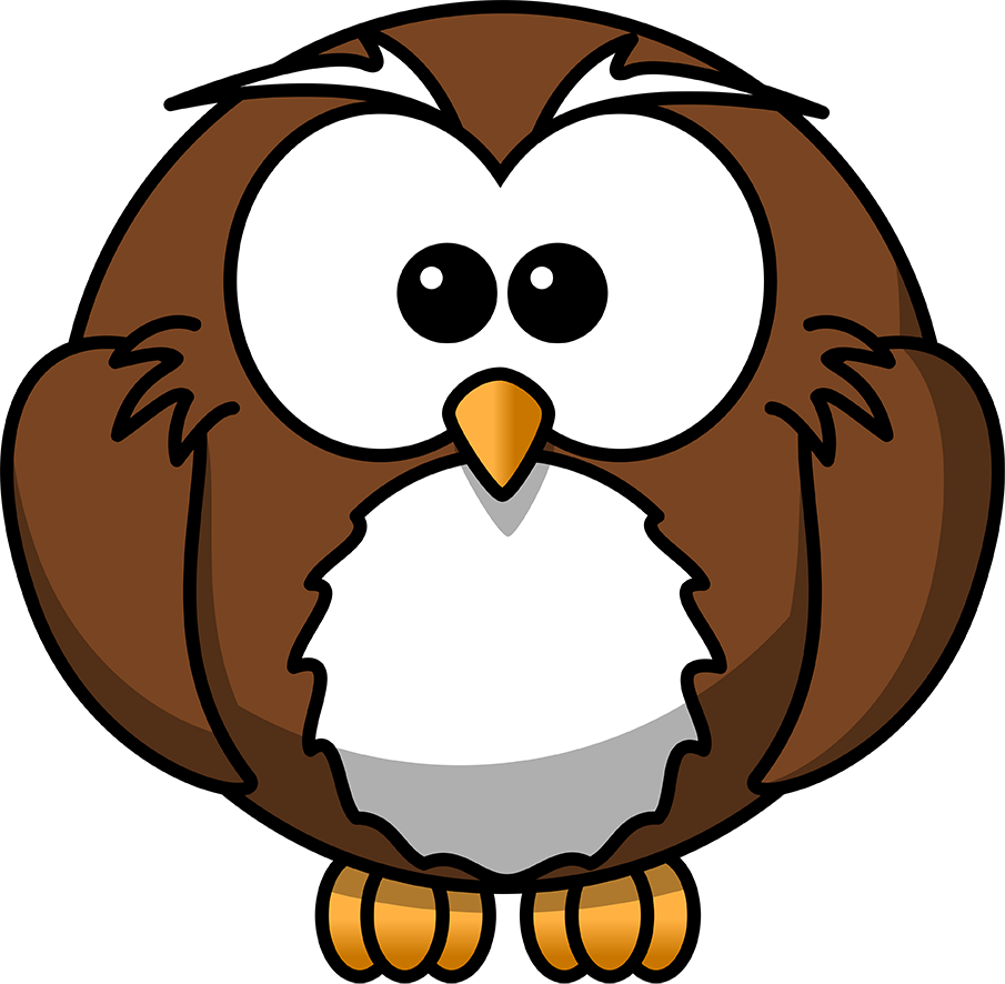 drawing round cartoon owl