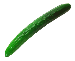 single cucumber clipart