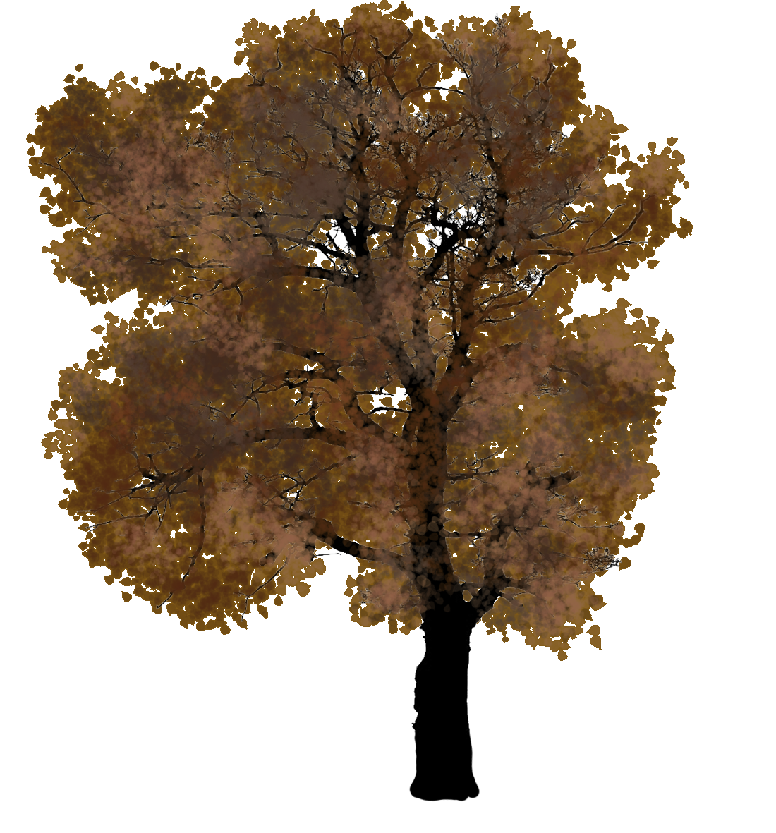 autumn tree clipart
