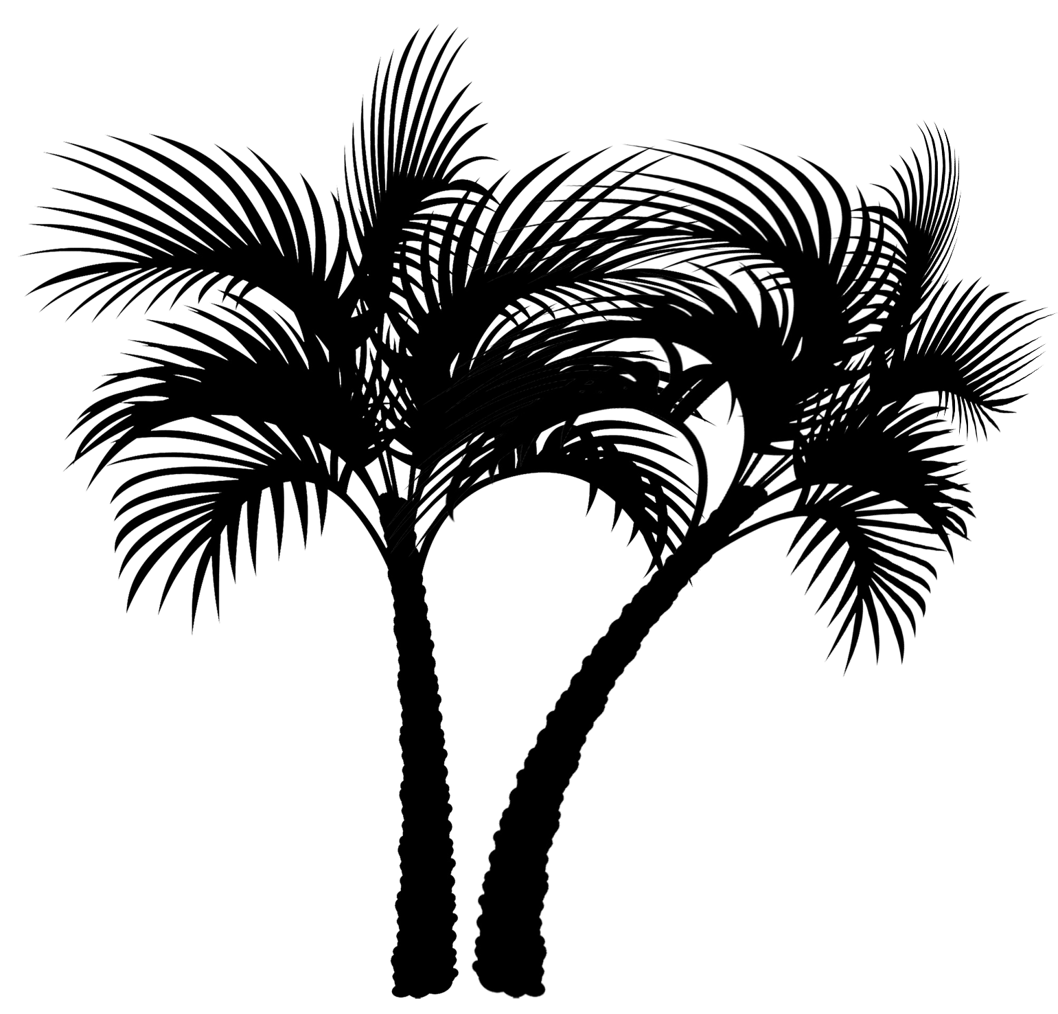 silhouette black two palm trees