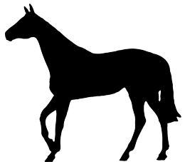 horse black silhouette