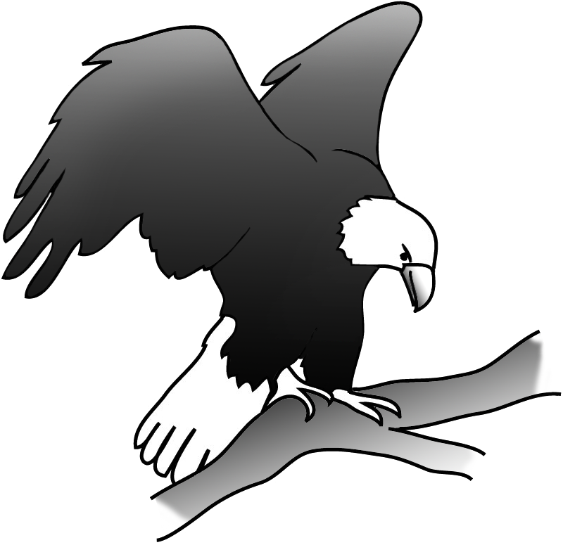 Eagle on a branch in a tree
