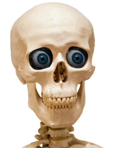 head skull with blue eyes