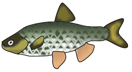Salt water fish
