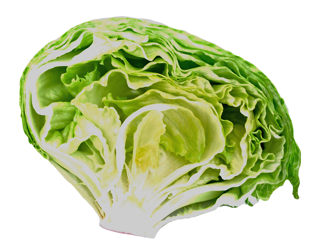 fresh salad clipart