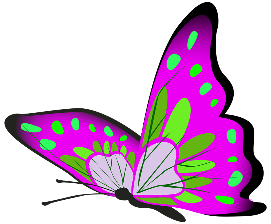 purple and green butterflly flying