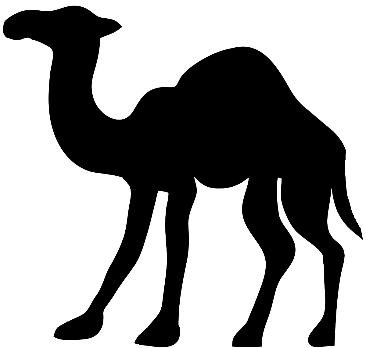 camel silhouette black