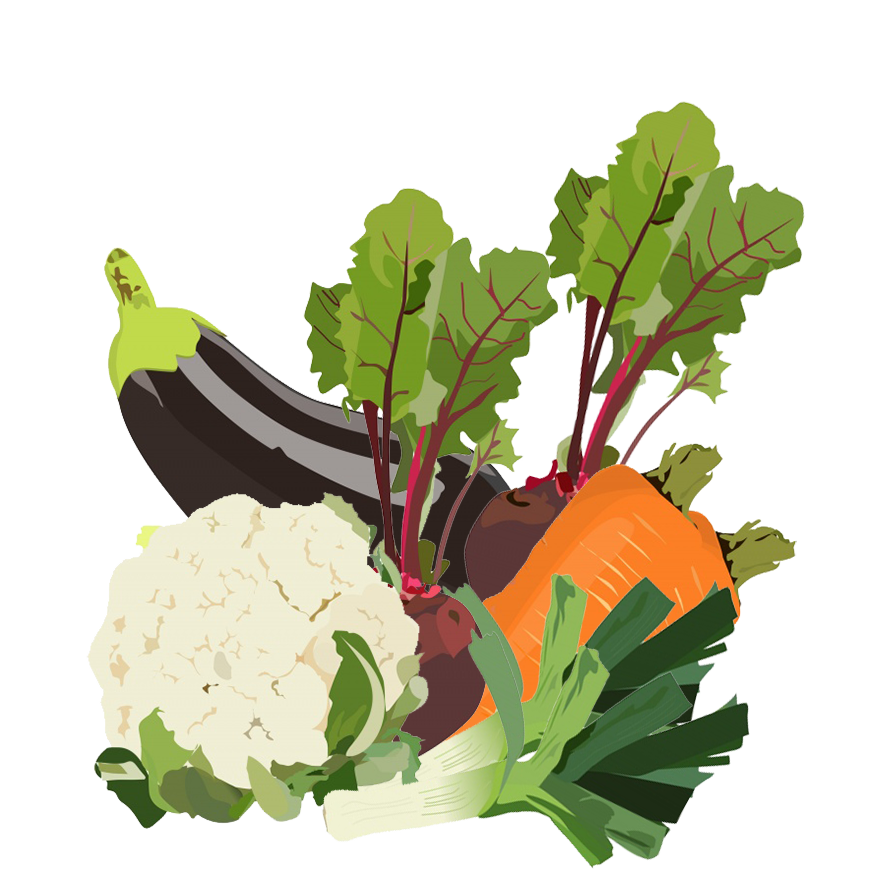 mixed vegetables clipart