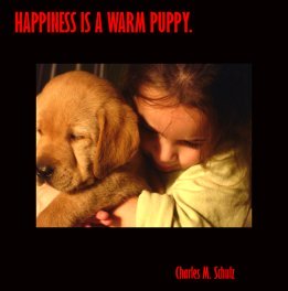 happiness is a warm puppy picture quote