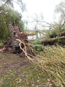 after an autumn storm
