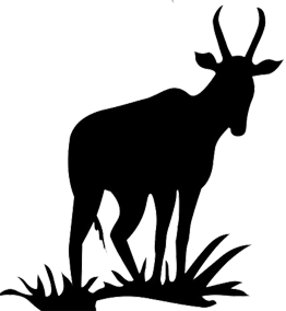 antelope silhouette