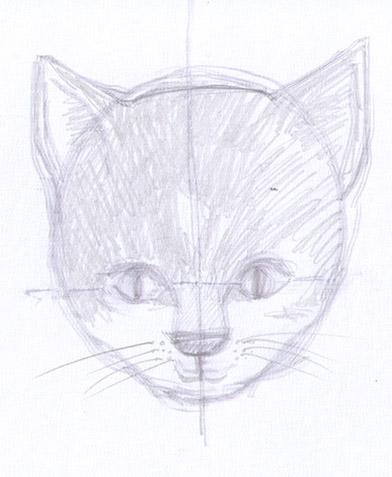 how to draw a cat's head 3