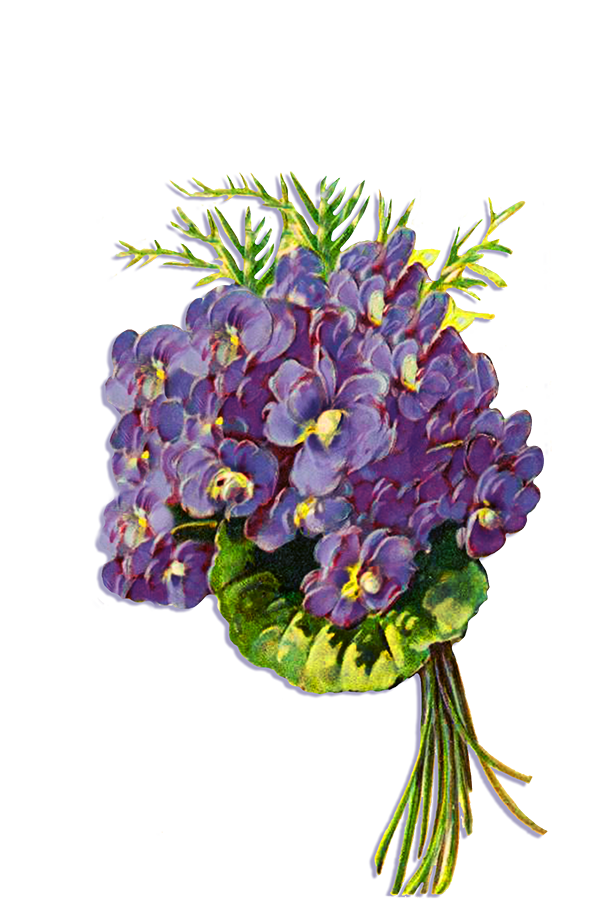 blue floral clipart