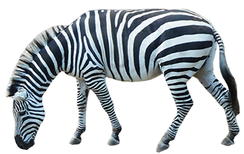 Animal Clip Art