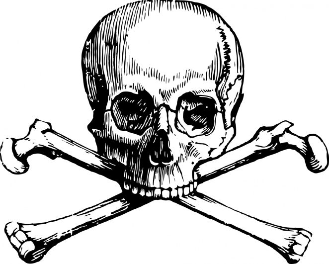 skull and crossbone
