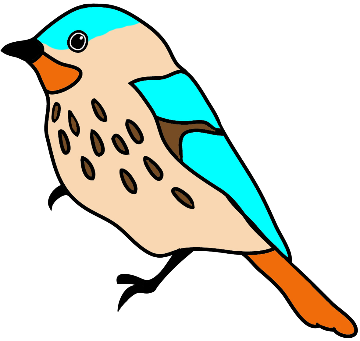 fantasy colored bird drawing
