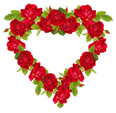 heart of red roses