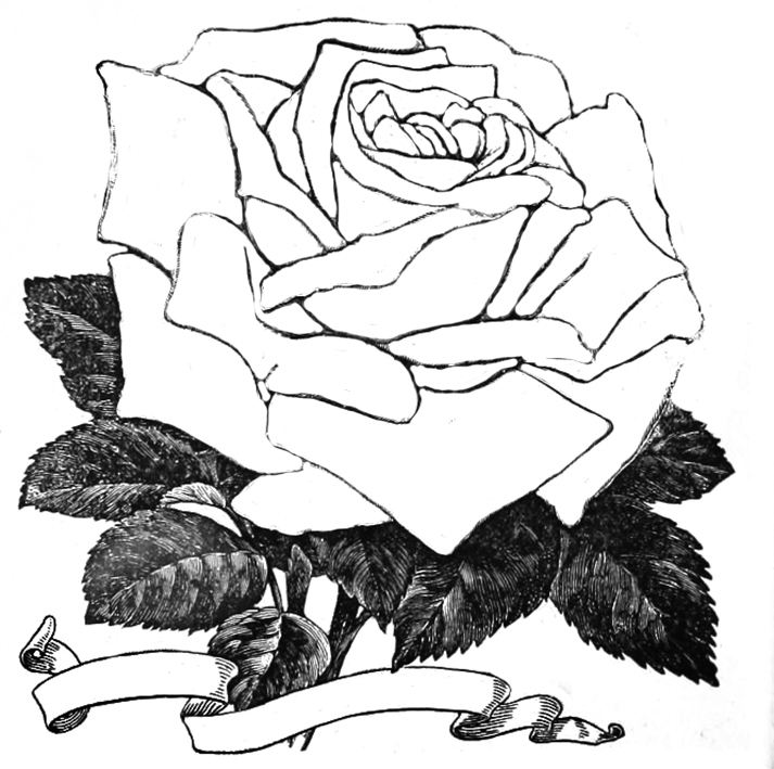 rose sketch to color