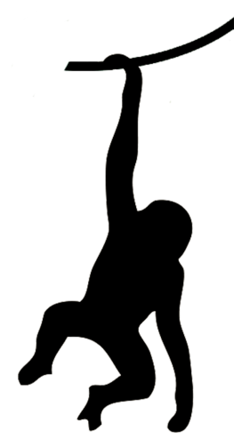 silhouette of monkey